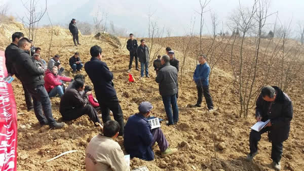 隴運(yùn)集團(tuán)公司積極開展幫扶村冬季花椒種植技能培訓(xùn)工作